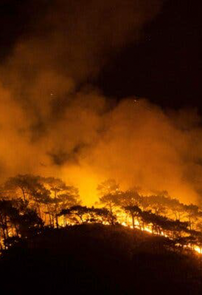 森林防火監(jiān)控系統方案